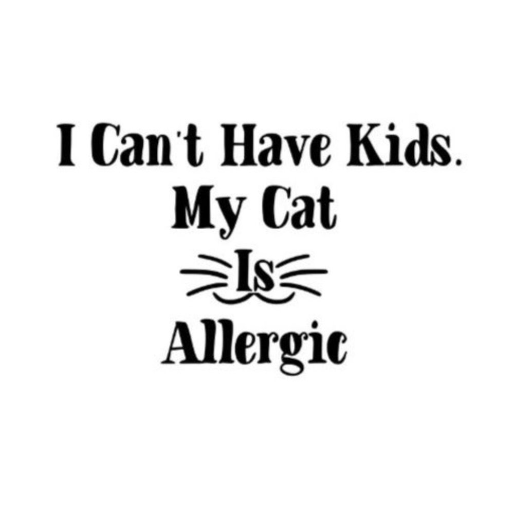 I Can't Have Kids.  My Cat is Allergic permanent vinyl decal
